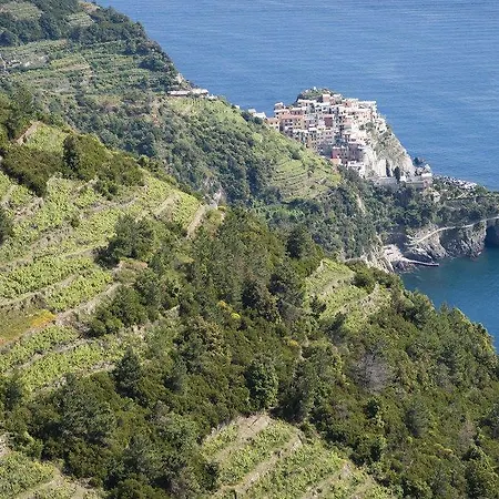 La Serra Di Lerici Sp With Sea View 190